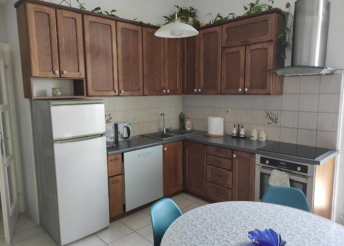 Bingo 8b Опатия