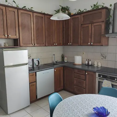 Bingo 8b 奥帕提亚